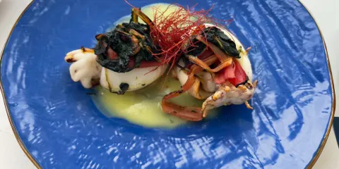 MoMo Pescato e Cucinato