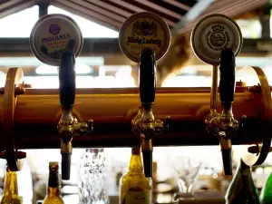 Bibere House of Beer