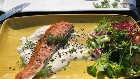 Slottstradgardens Kafe in Malmo