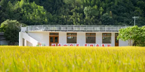 螢火蟲稻田咖啡廳