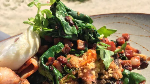 Beach Bums Cafe in Forster