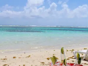 Tropicante Ameri-Mex Grill