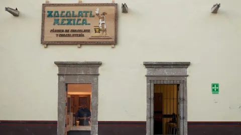 Xocolatl Mexica Encino in 阿瓜斯卡連特斯州