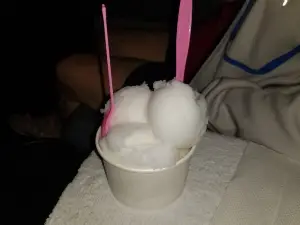 Flamingo Freeze Ice Cream