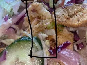 The Kebabs & Pizza House