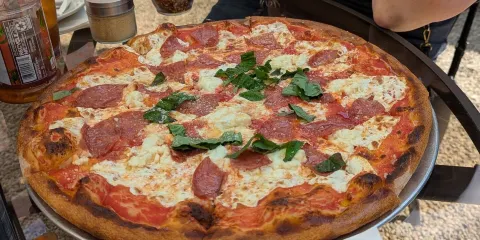 The Social