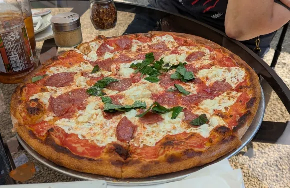 The Social