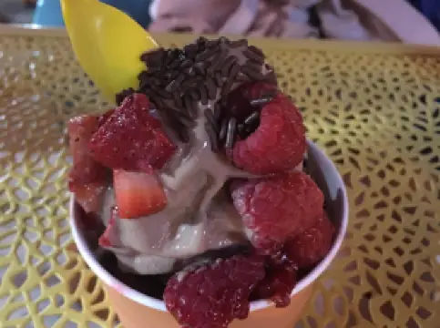 Turkberry Frozen Yogurt