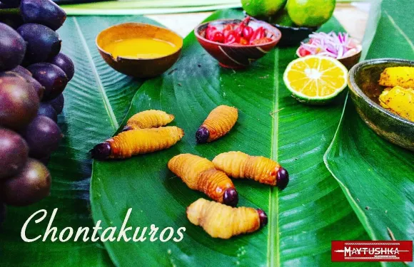 Maytushka - amazonian traditional food cuisine, Otavalo, Ecuador