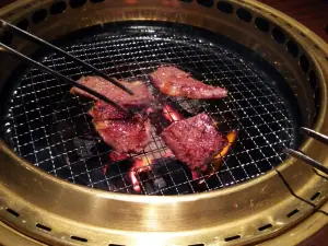 Charcoal fire grilled meat Wa Hanare