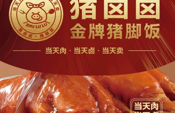鹵肉豬腳飯