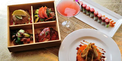 Piranha Killer Sushi