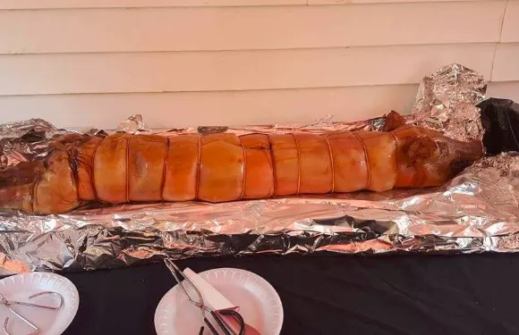 Cannuli House of Pork