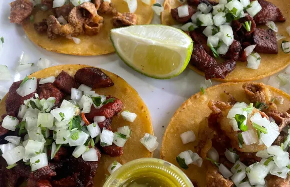 Mr. Taco Cantina