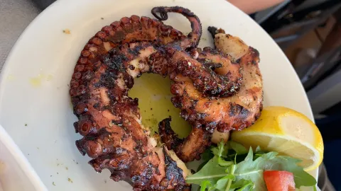 Ta Delfinia in Chios