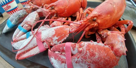 Champlin's Seafood