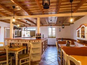 Gal Pince and Wine Museum