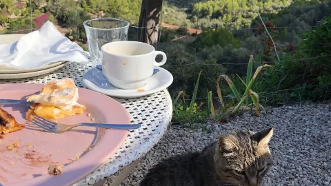 Finca Son Mico in Soller