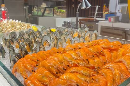 Fulixi'erdundujiajiudian·OPEN Restaurant