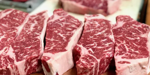 Tropical Acres Steakhouse