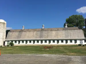 Perona Farms