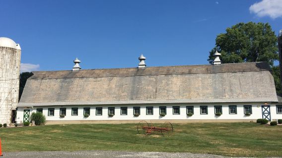 Perona Farms