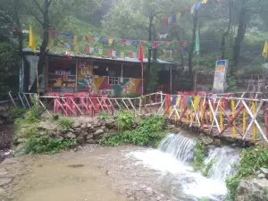 Shiva Cafe