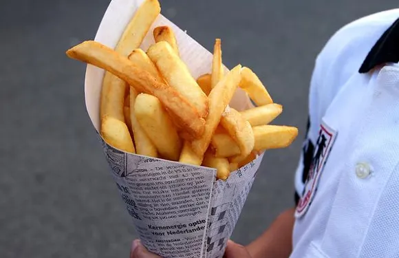 FryDay Belgian Fries