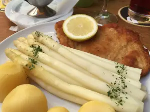 Die Pfaelzer