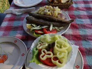 Boat restaurant Silistria