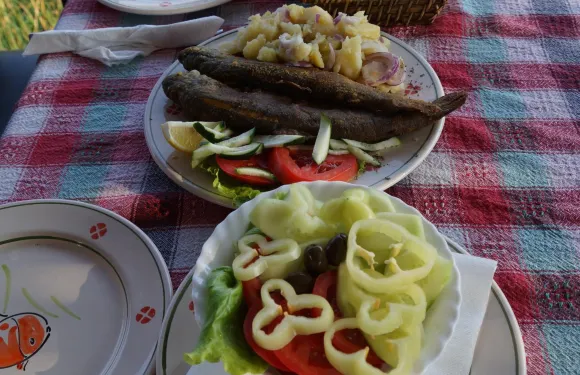 Restaurant Silistria