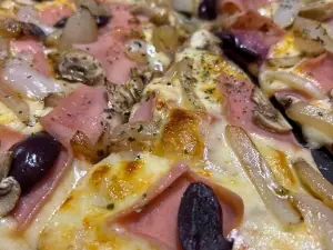 Mamiferos