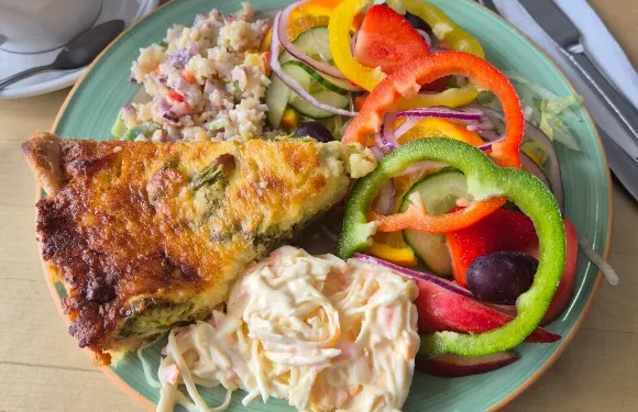 Butterflies workington