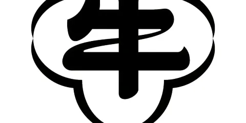 牛沙暴潮汕牛肉火鍋
