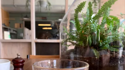 Wide Open Road Coffee Roasters in Брансуик
