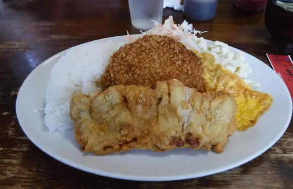 Shokudo Izakaya Kayoutei