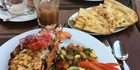 Forodhani