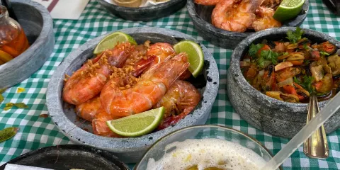Tia Palmira