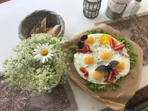 Gnezdo Pekarya