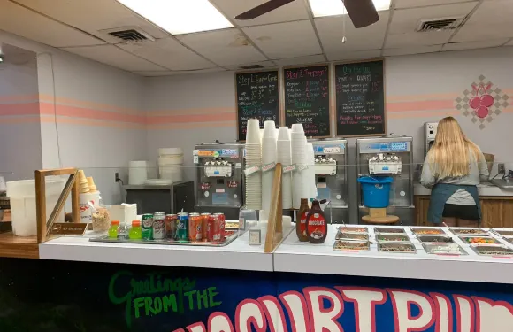 Yogurt Pump