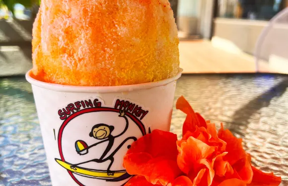 Surfing Monkey Hawaiian Shave Ice