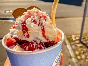 Raddens Eis