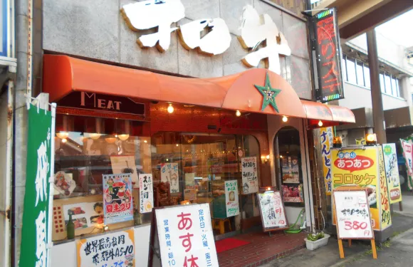 Takagi Seiniku