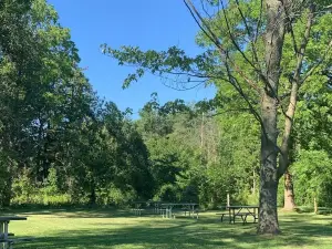 Woodland Drive-In