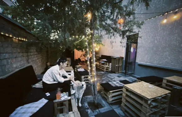 ACHYQ BAR