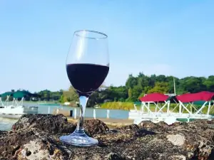 Castel Kuriftu Wine House and Restaurant Bahir Dar