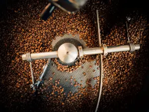 Peregrine Coffee Roasters