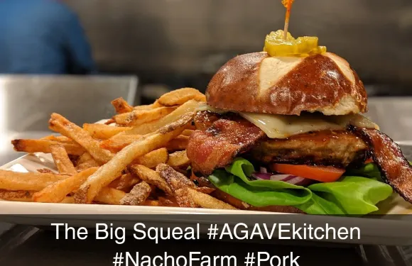 Agave Kitchen