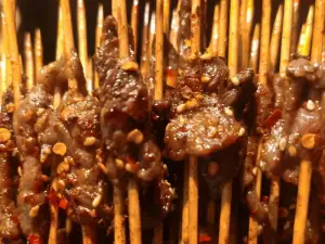MA SAI SHAO KAO YUAN