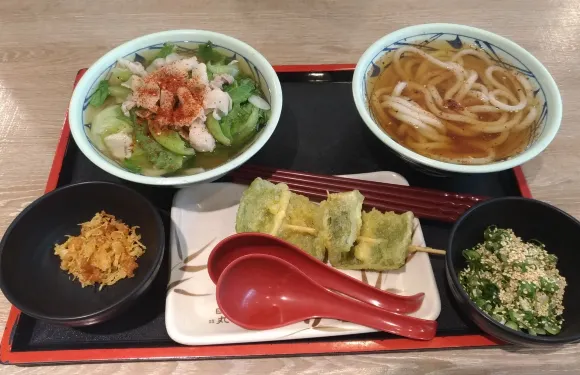 Marugame Noodles